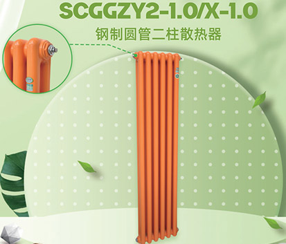 SCGGZY2-1.0/X-1.O钢制圆管二柱散热器